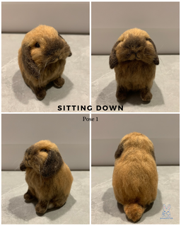 Customised animal wool felting