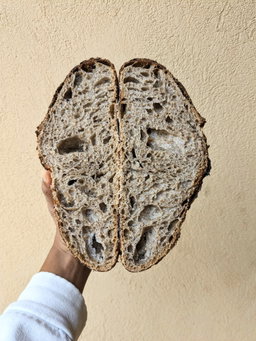 Large Red Sorghum Sourdough