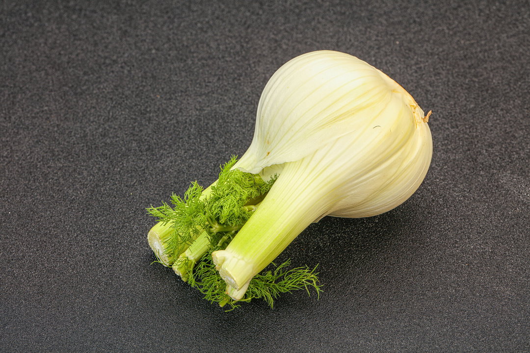 Fennel, Bulbs