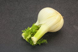 Fennel, Bulbs