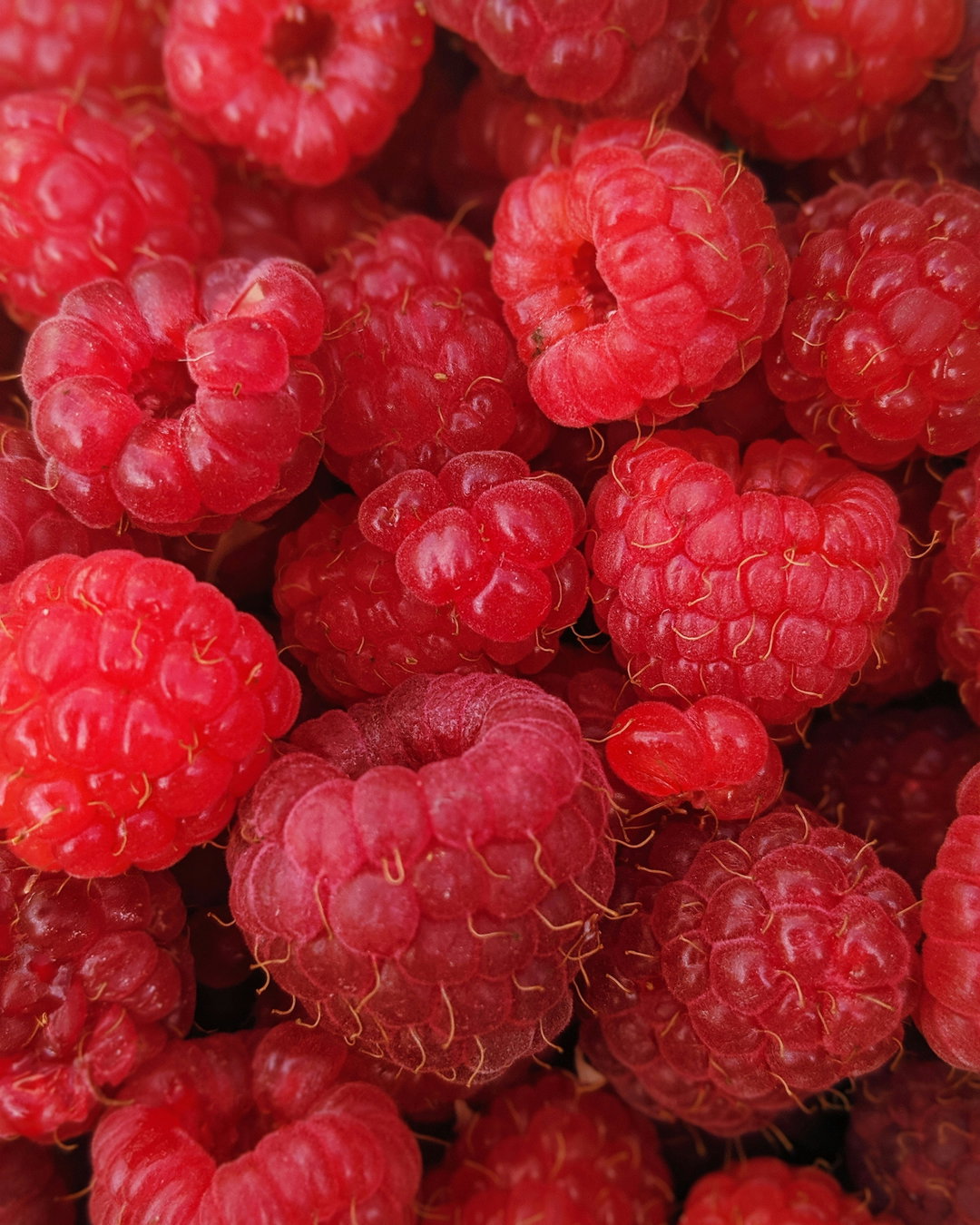 Frozen Raspberries