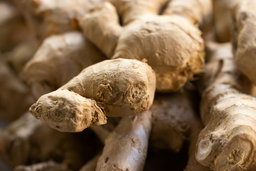 Ginger