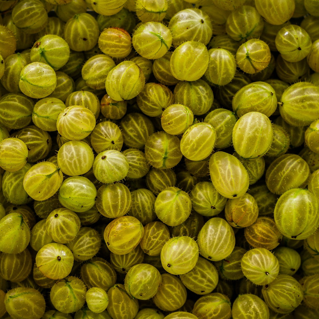 Gooseberries