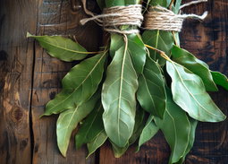 Bay Leave