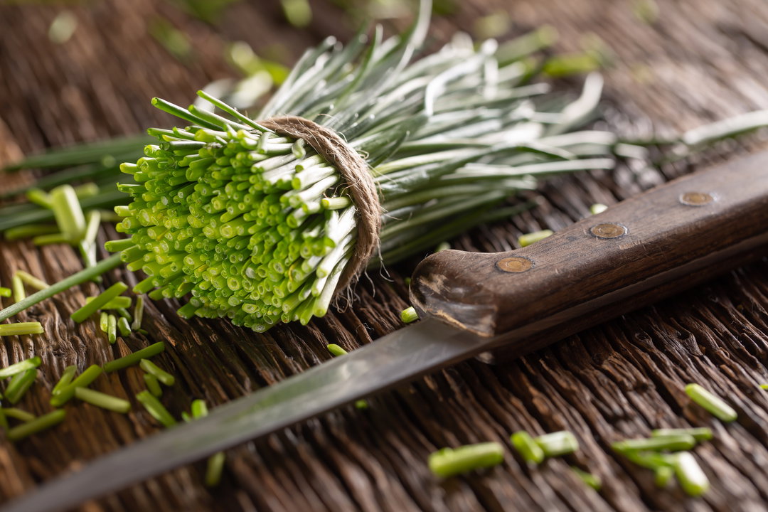 Chives