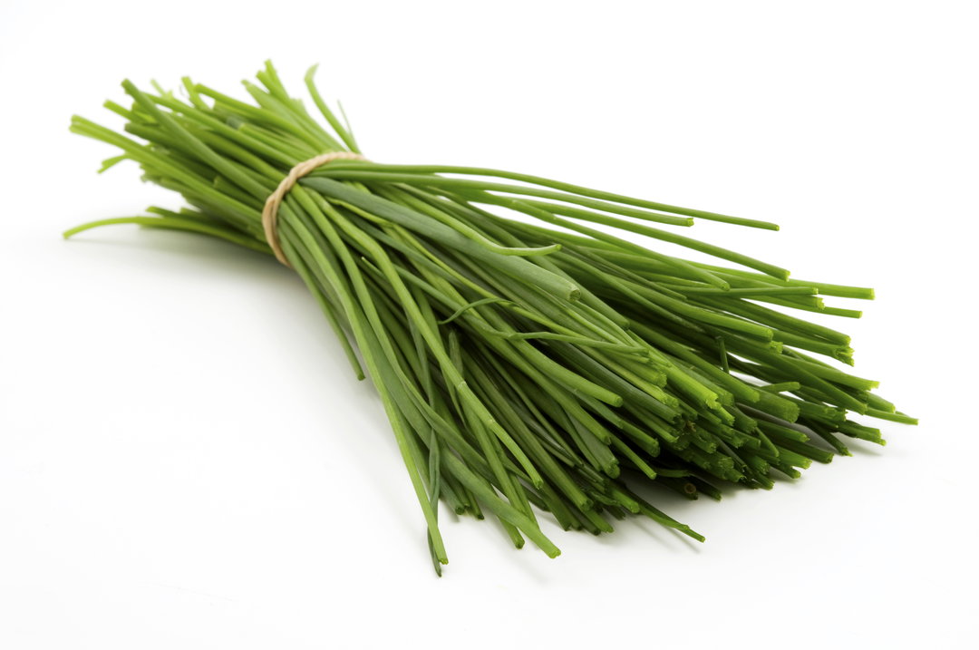 Chives, Bulk
