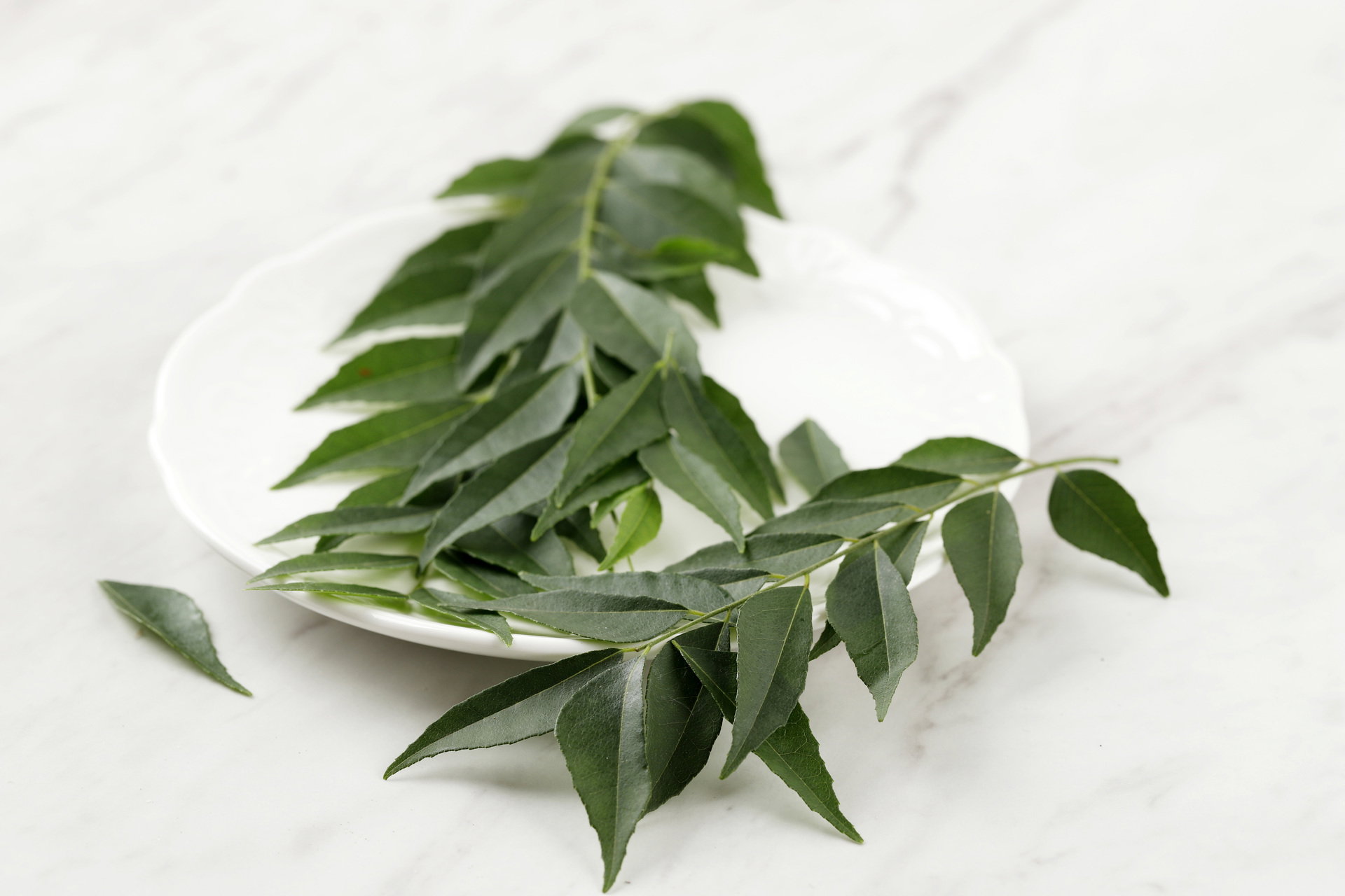 Curry Leaves, Bulk_0
