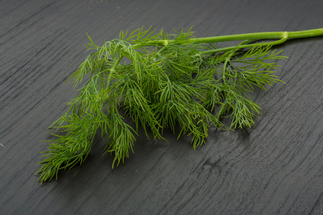 Dill
