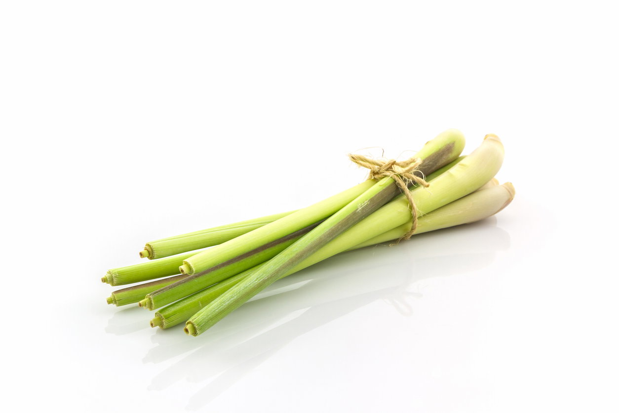 Lemongrass_0