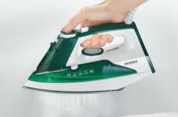 Electric goose