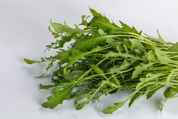 Rocket