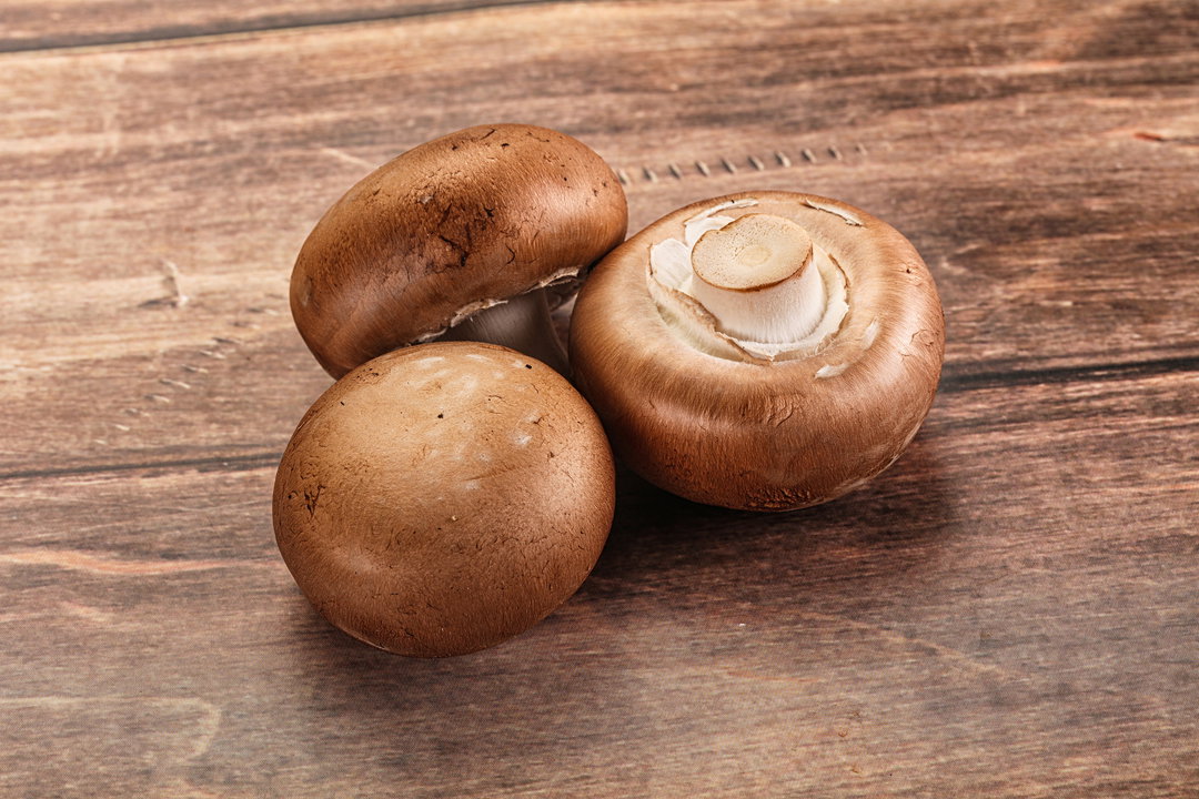 Mushroom, Brown