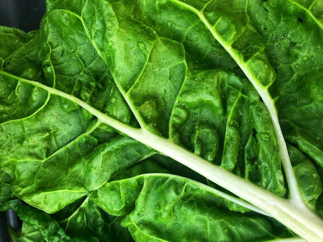 Spinach, Bulk