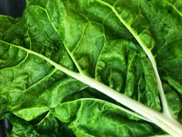 Spinach, Bulk