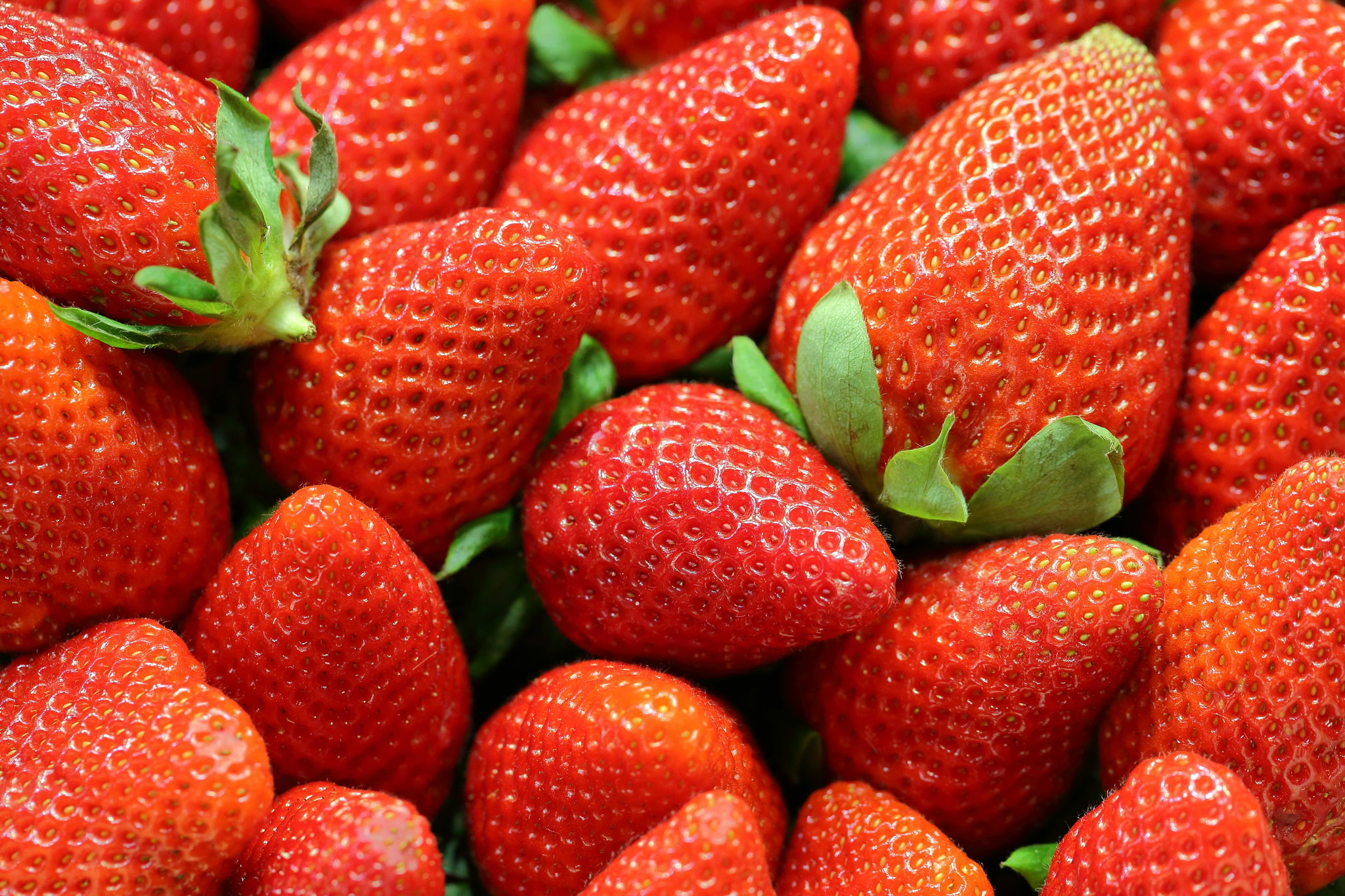 Strawberry_0