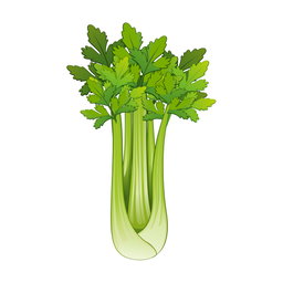 Table, Celery 