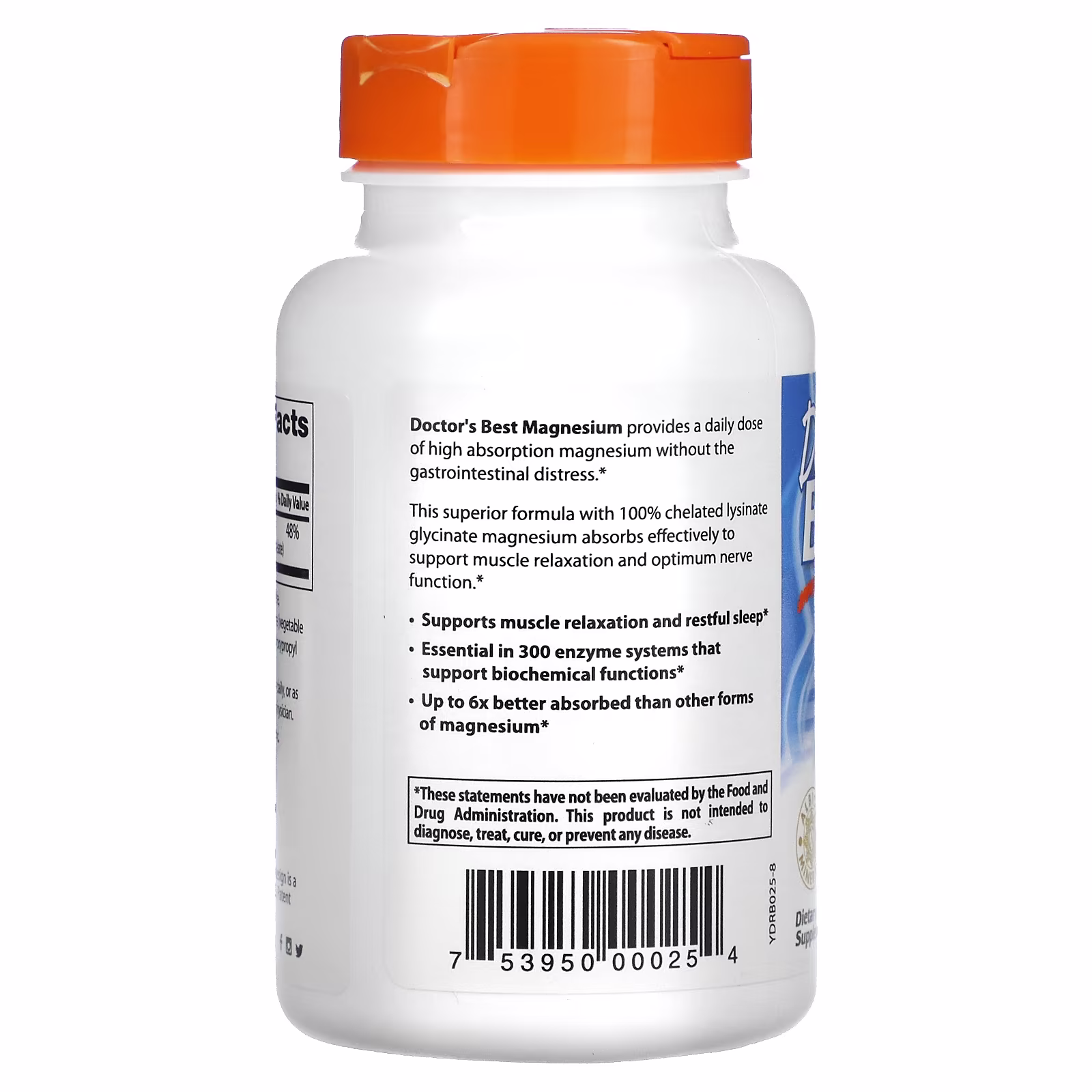 High Absorption Magnesium, 100 mg_1