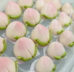 Signature Longevity 🍑 Bun ( set of 4)