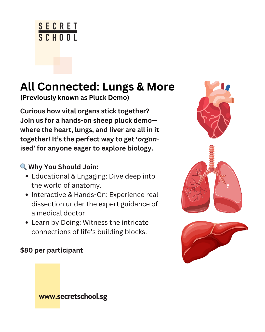 Private Group: All Connected: Lungs and More Adults & Students (11yo and up)_0