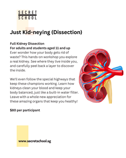 Private Group: Just Kid-neying Dissection Workshop for Adults & Students (11yo and up)