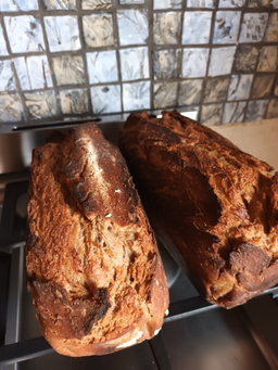 Saturday Whole wheat sourdough Bread