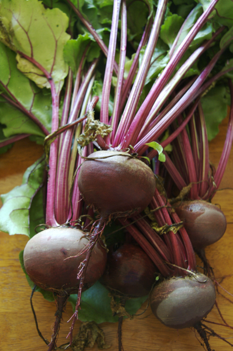 Beetroot _0