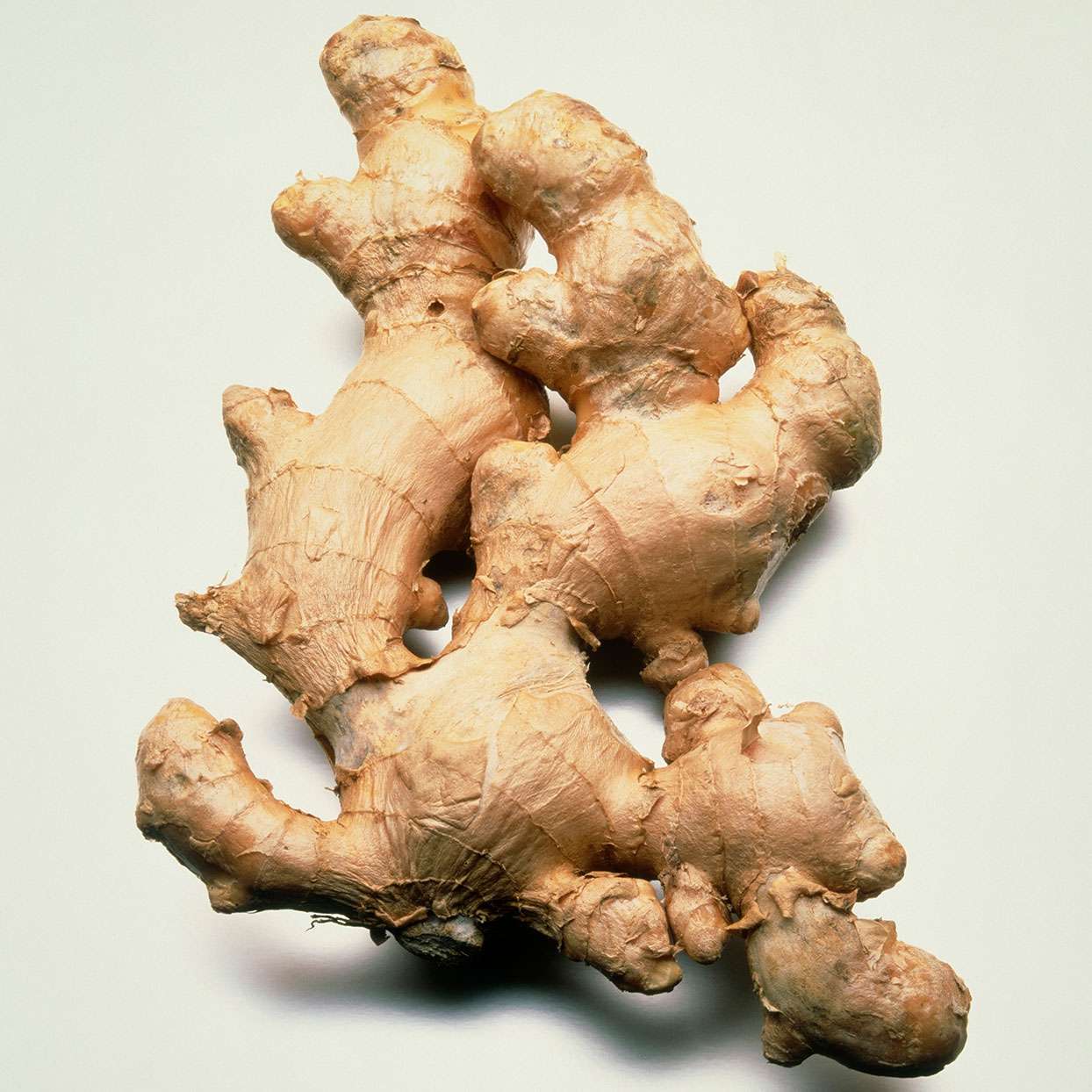 Ginger_0