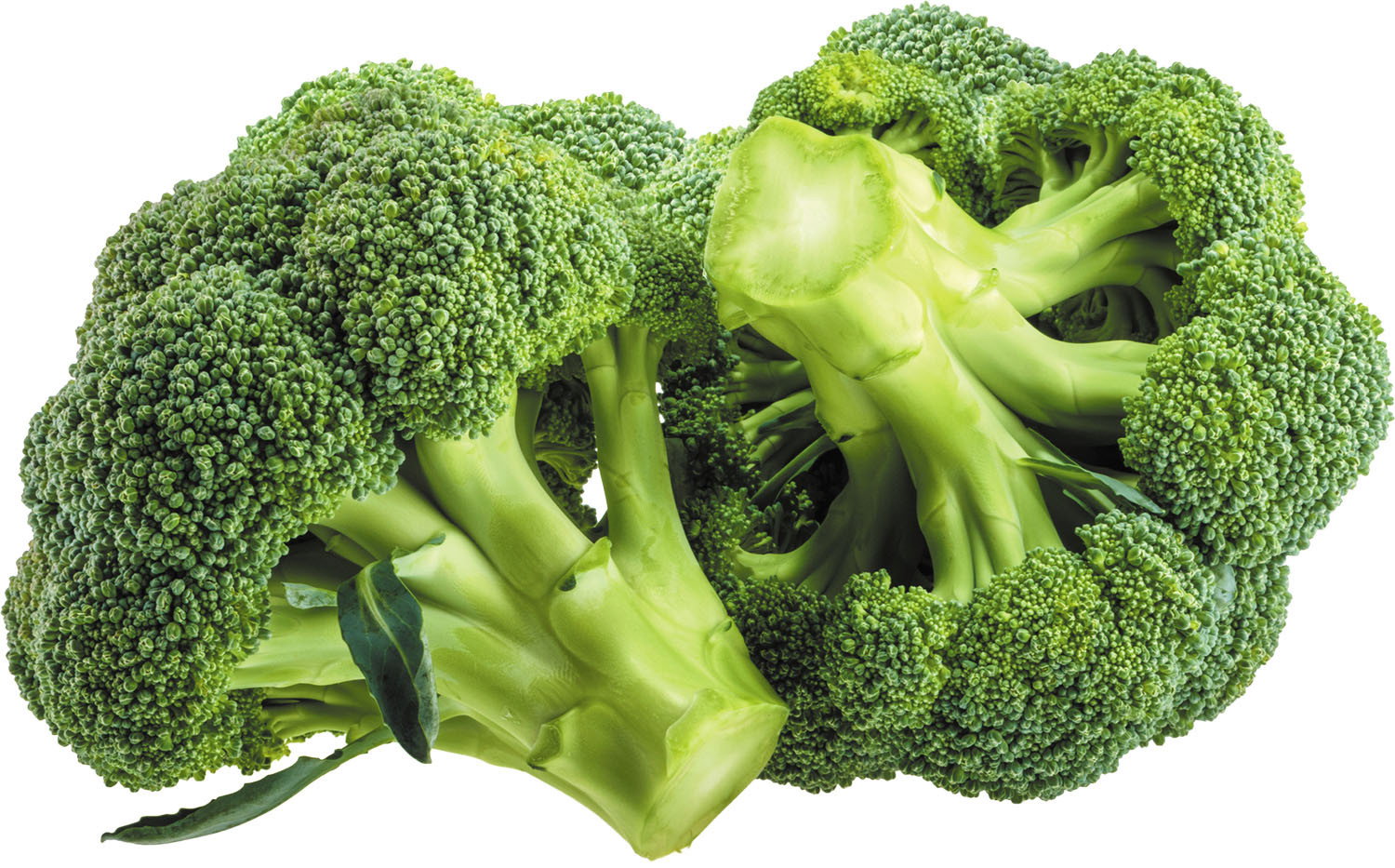 Broccoli _0