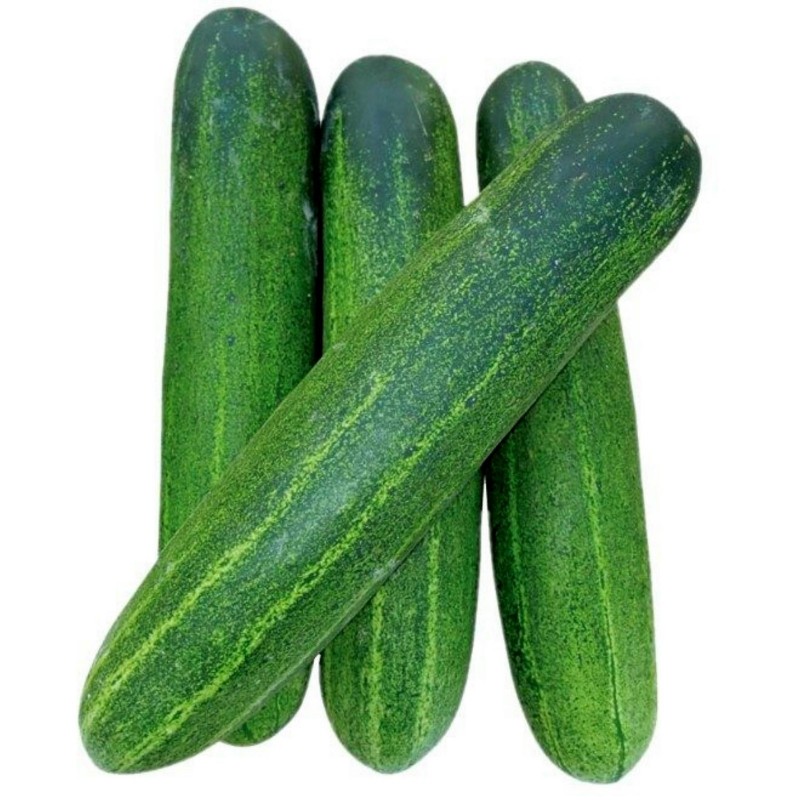 Cucumber _0