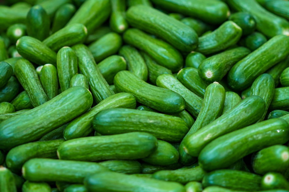 Mini cucumber _0