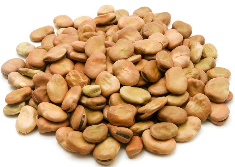 Fava Beans (Fool Masry) 3 kg_0