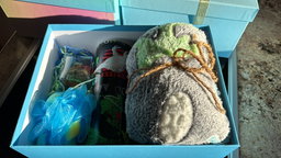 Surprise Gift Box - 🦖 jnr dinosaur