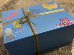 Surprise Gift Box - 🦖 jnr dinosaur