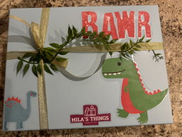 Surprise Gift Box - 🦕 Dinosaur