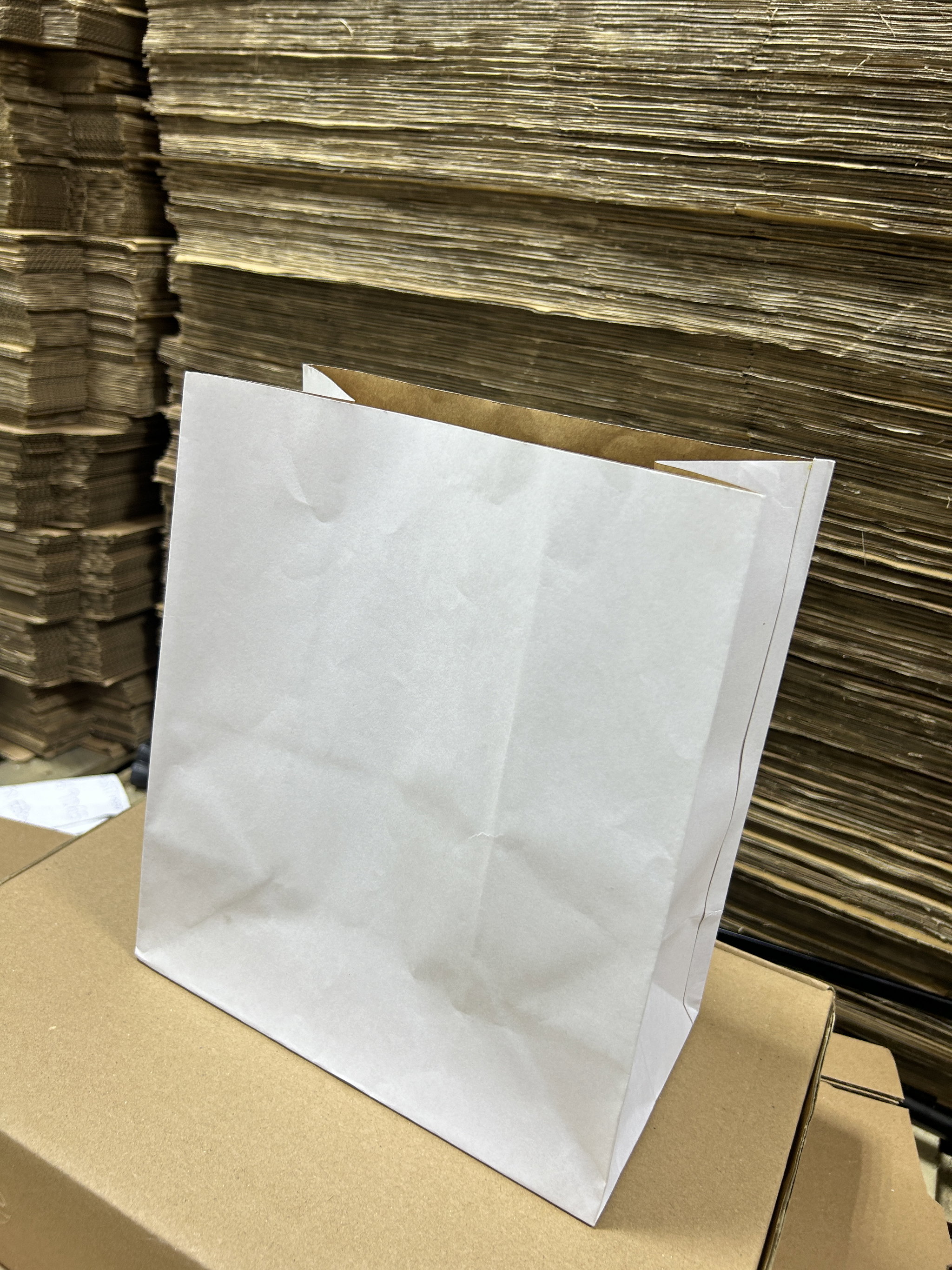 PLAIN WHITE DELIVERY TAKEOUT BAGS - 6 SIZES/ RETAIL_4