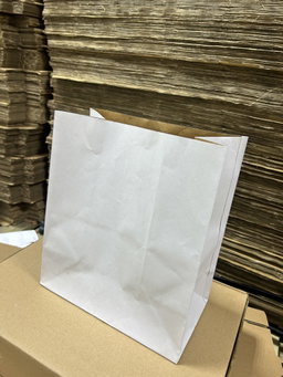 PLAIN WHITE DELIVERY TAKEOUT BAGS - 6 SIZES/ RETAIL