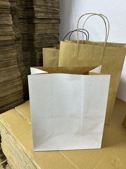 PLAIN WHITE DELIVERY TAKEOUT BAGS - 6 SIZES/ RETAIL