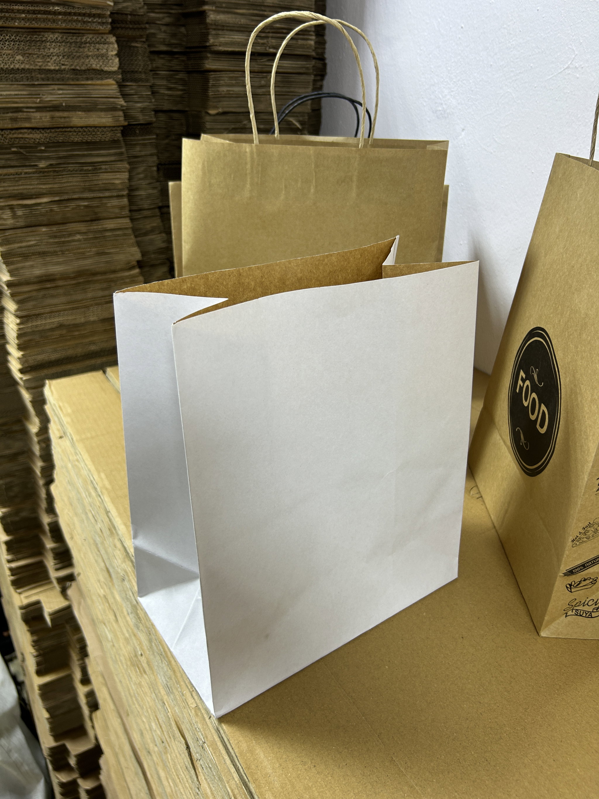PLAIN WHITE DELIVERY TAKEOUT BAGS - 6 SIZES/ RETAIL_5
