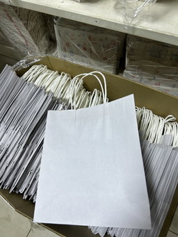 PLAIN WHITE DELIVERY CARRIER BAGS - 6 SIZES/RETAIL