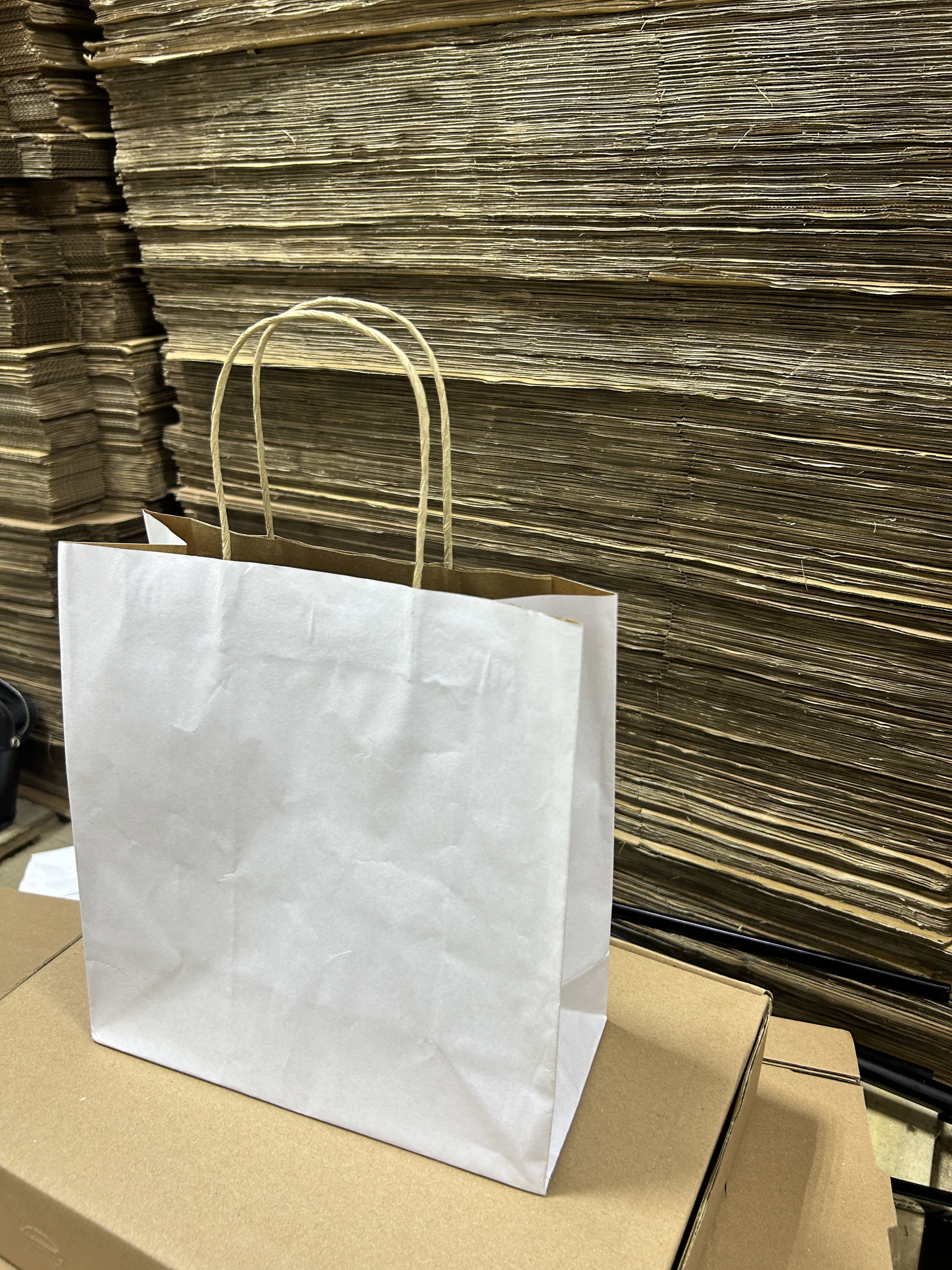 PLAIN WHITE DELIVERY CARRIER BAGS - 6 SIZES/RETAIL_5