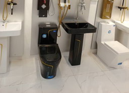 Toilet Seat 