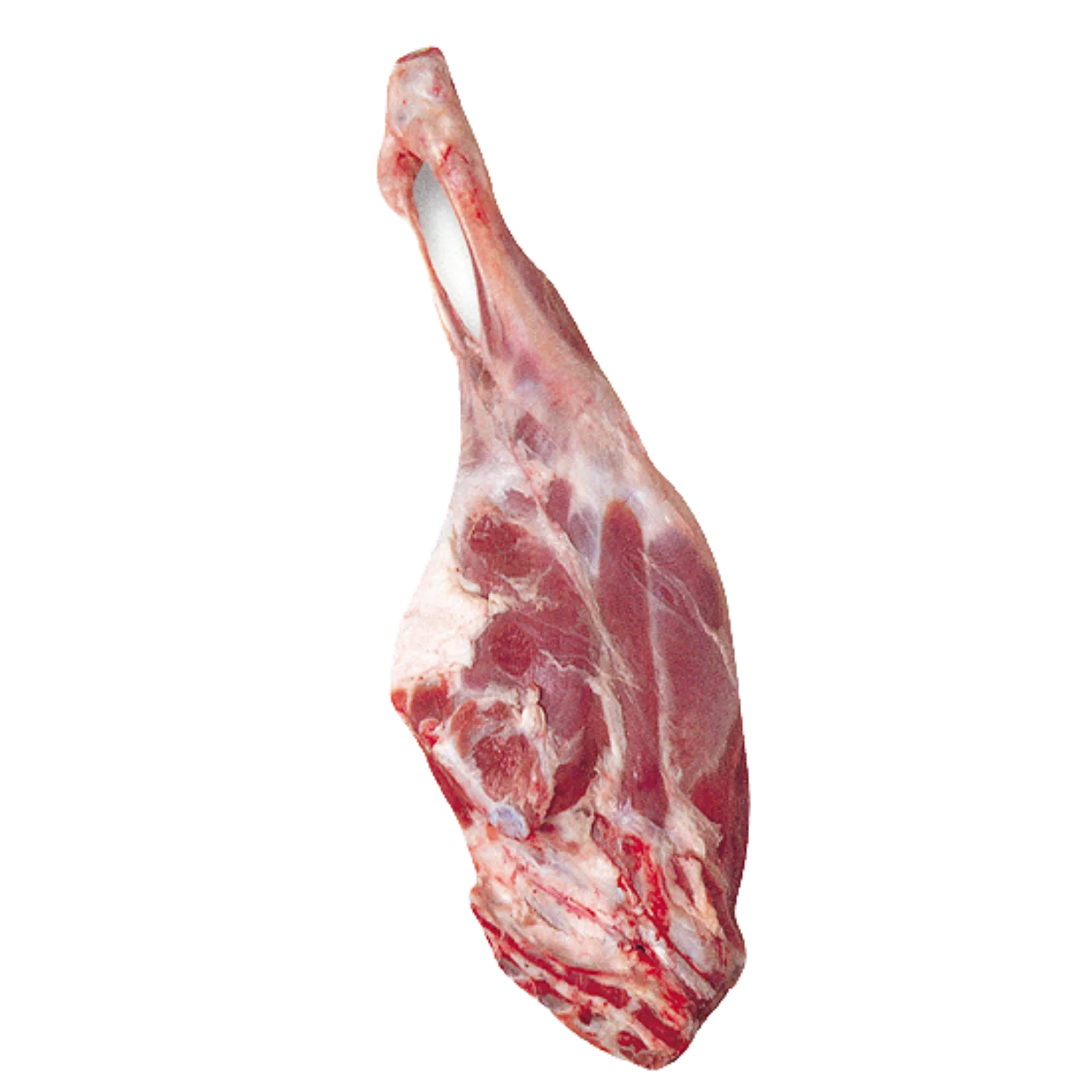 Lamb Leg 羊腿_0