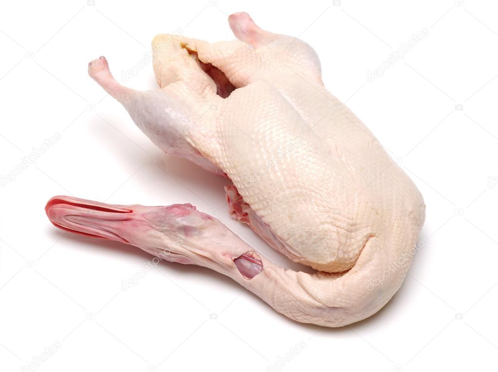 Fresh Organic Duck 新鲜鸭_0