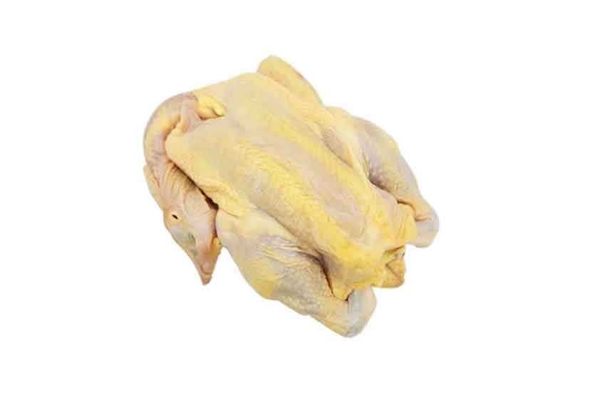 Organic Kampung Chicken 正宗甘榜鸡