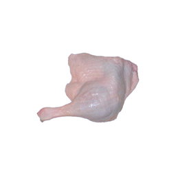 Fresh Duck | 新鲜鸭肉