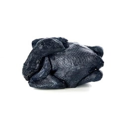 Organic Black Chicken 黑鸡