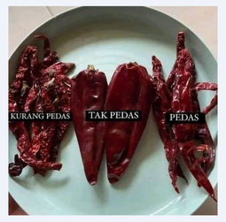 Cili Kering India