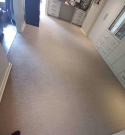Carpets Deep Cleaning 