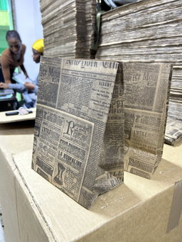 “NEWSPAPER PRINTS”DELIVERY TAKEOUT BAGS - 2 SIZES/RETAIL