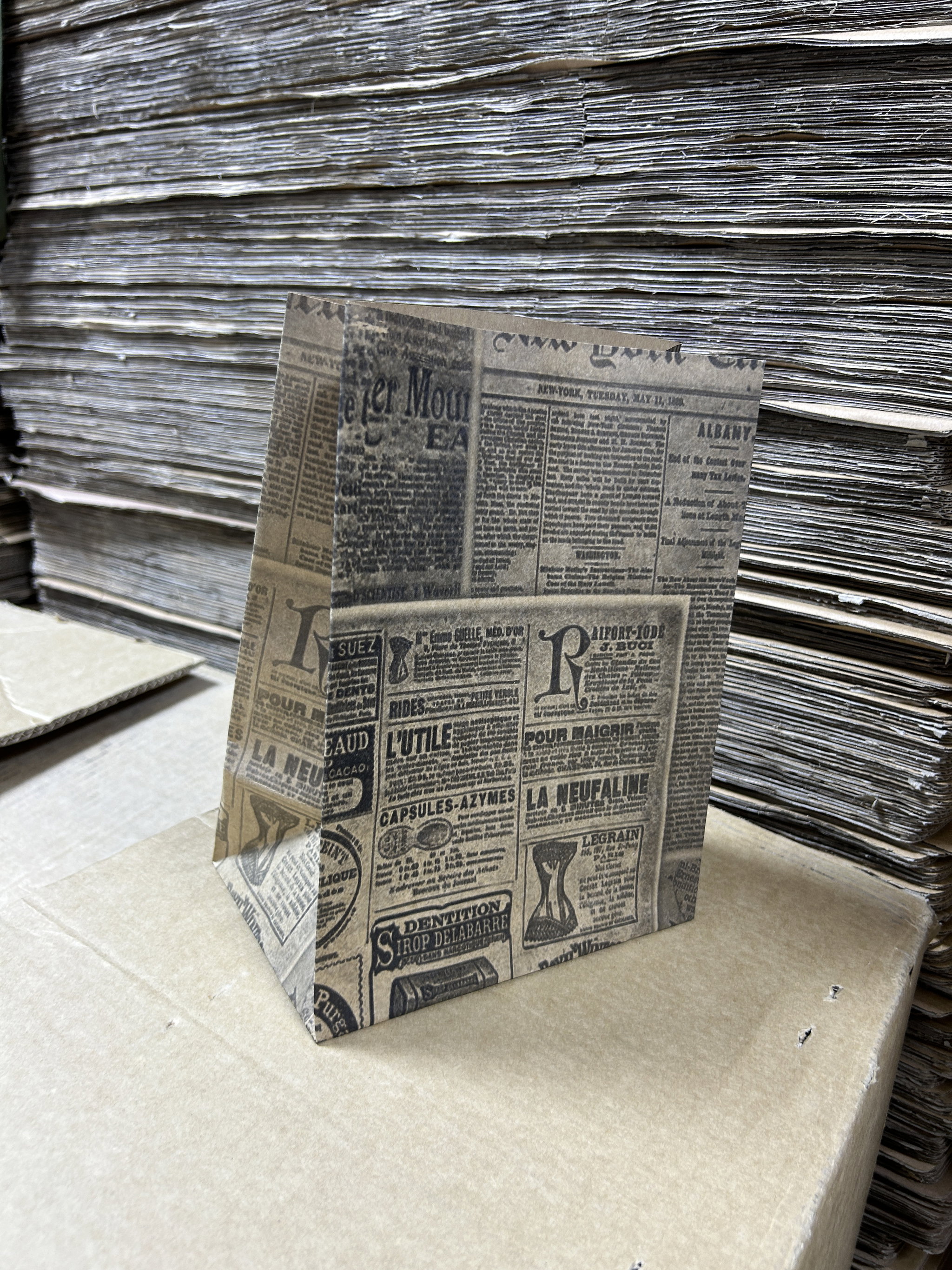 “NEWSPAPER PRINTS”DELIVERY TAKEOUT BAGS - 2 SIZES/RETAIL_3
